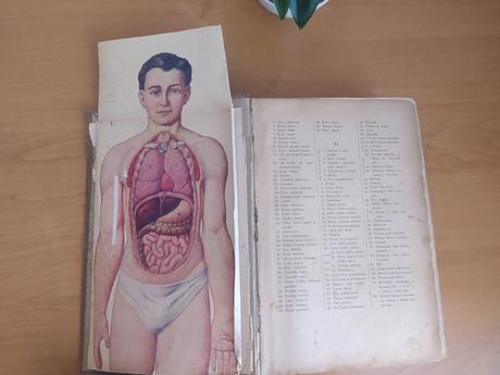 Prírodní léčba a domáci lékar,