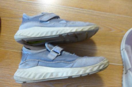 Ecco nepremoave, ecco,34