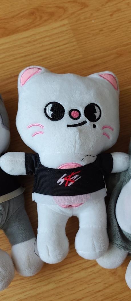 Maskot stray kids,