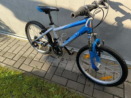 Bicykel dinoti, 20