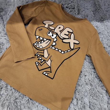 T-rex tricko, h&m,122