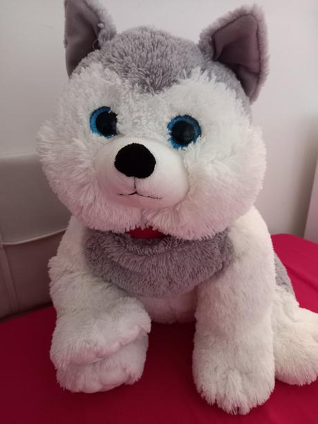Veľký plyšový psík, 
