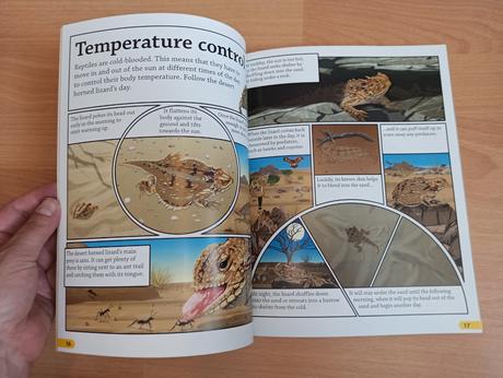 Dk find out seria aj jednotlivo, 