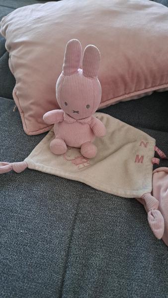 Hľadáte zajačika? Možno ho má niekto doma!