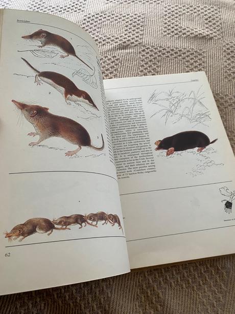 Jana horackova illustrated book of animal life,