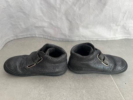 Filii chameleon, filii,25