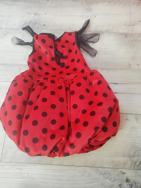 Kostým pre deti lienka, 