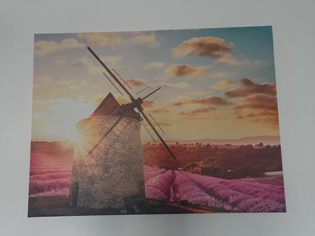 Obraz levanduľové pole a veterný mlyn, 