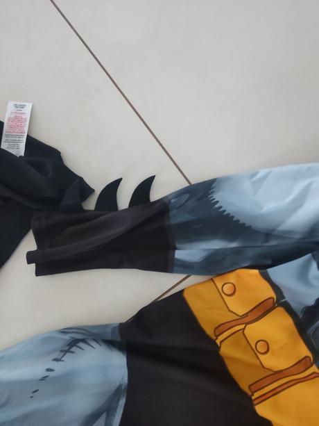 Karnevalový kostym, 