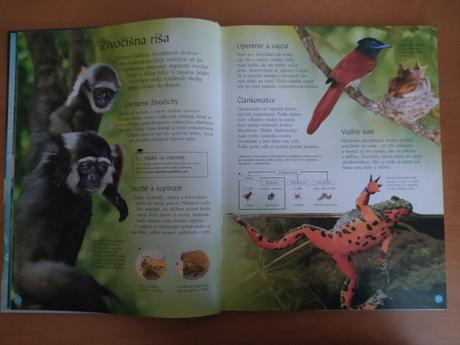 Svet zvierat (2005), 