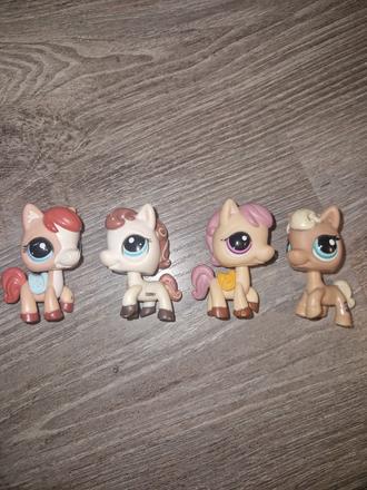 Littlest pet shop kone,