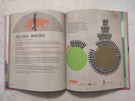 Stretnutie s tigrom, 