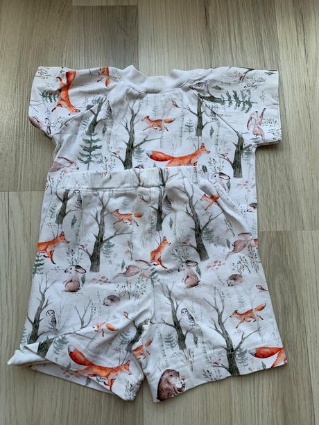 Pyzamkovo v80/86, 80