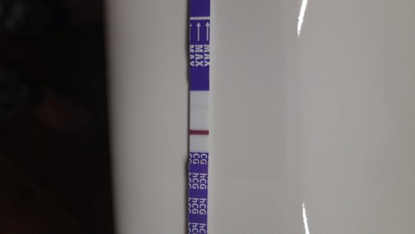 Je sila čiarky adekvátna?