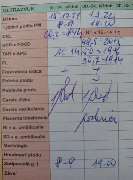 Vysvetlíte mi údaje v tehotenskej knižke?