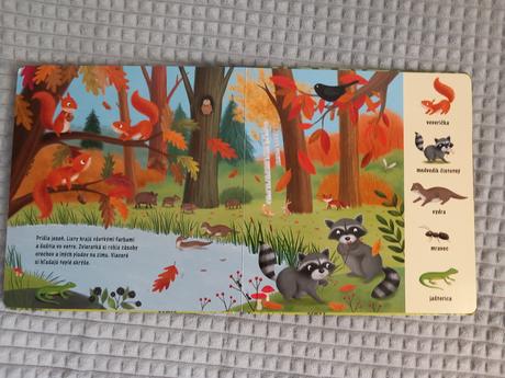 Moja prvá kniha o zvieratkách v lese, 
