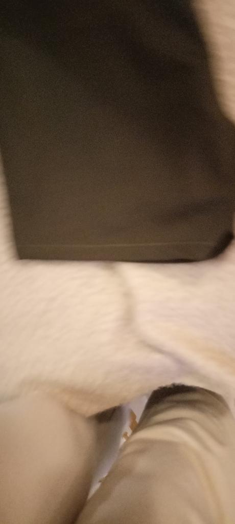 Kraťasy adidas performace, adidas,xl