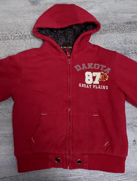 Zateplená mikina, st. bernard,122