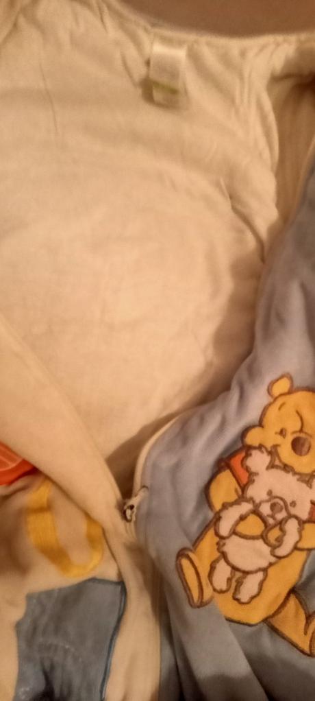 Rozprávkový spací vak, disney