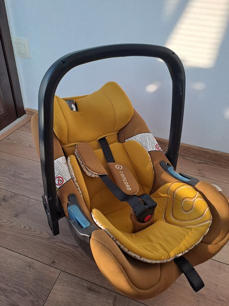 Concord vajicko, concord