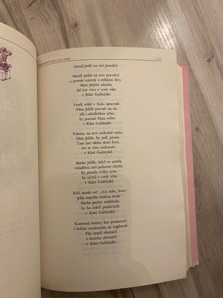 Samopašná viola da gamba, alebo, veselé piesne a v,