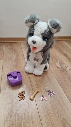 Interaktívny psík ricky, 