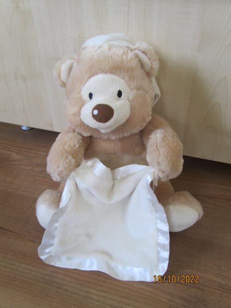 Skryvajuci medvedik, 