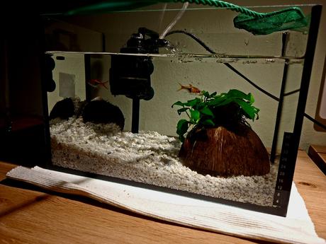 Aquarium mini 20-30l pre deti i dospelych,
