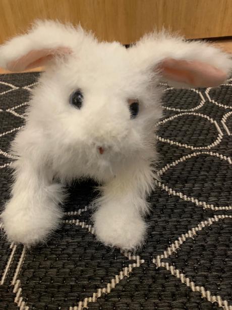 Sada plyšových domácich zvieratiek,