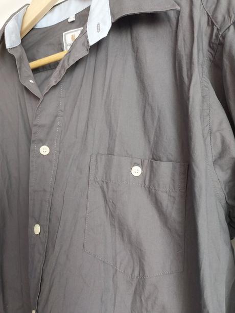 Kosela elegantna, c&a,l