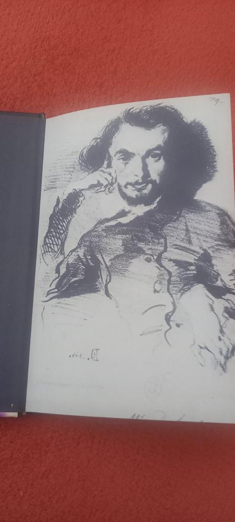 Z kvetov zla - charles baudelaire, 