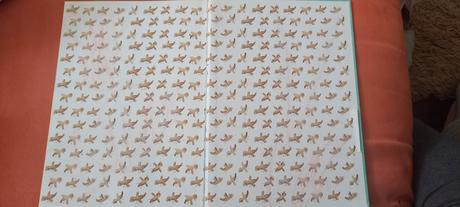 Kniha co baby nedokážu, 