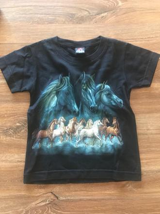Koníkové tričko, 104