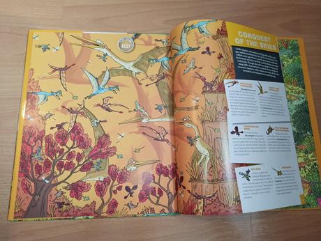 Seek and find dinosaurs hb, 