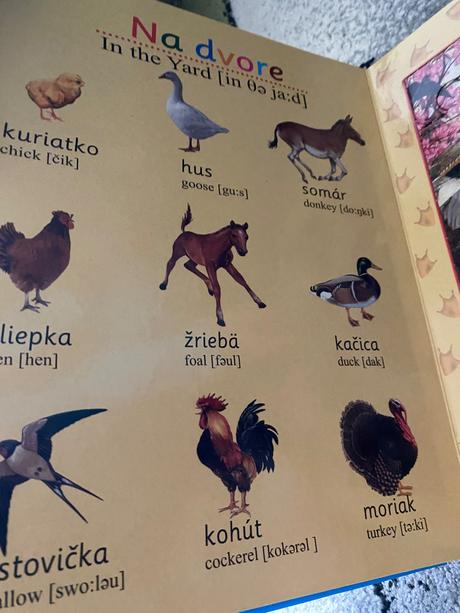 Kniha s puzzle a anglickými slovíčkami, 