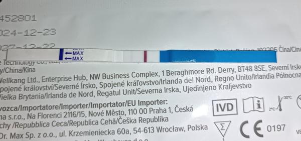 Som podľa testu tehotná?