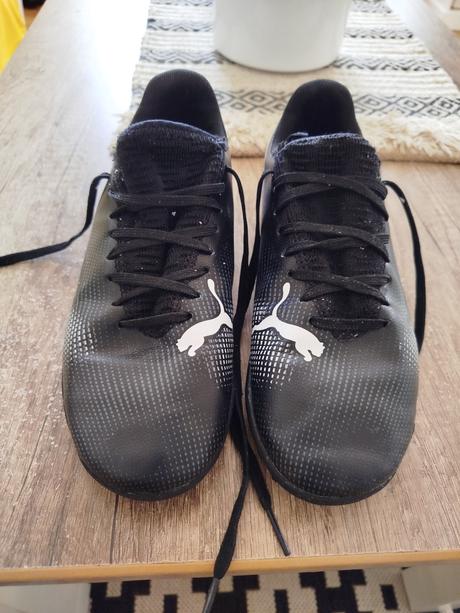 Halovky puma, puma,36