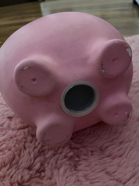 Pokladnicka prasiatko velka, 