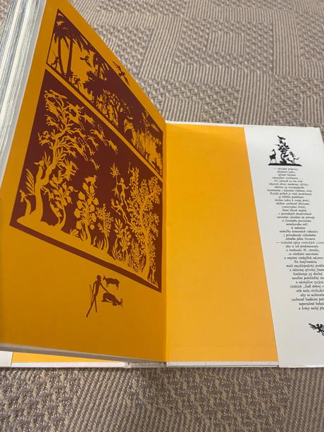 Krásna kniha o afrike safari pod kilimandžárom,