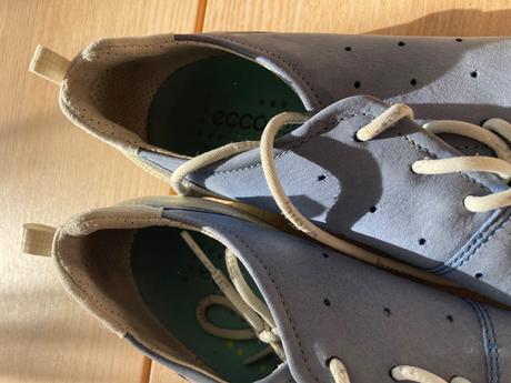 Ecco biom, ecco,40