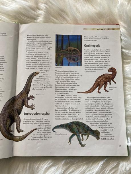 Dinosaury objavy - druhy - vymieranie, 