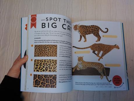 Pilot academy nwi18,