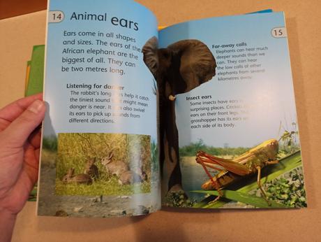 Project science x10 set, 