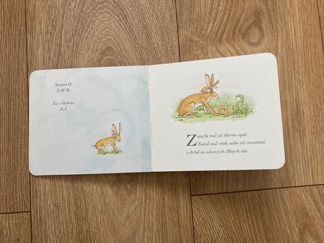 Hádaj ako veľmi ťa mám rád, 