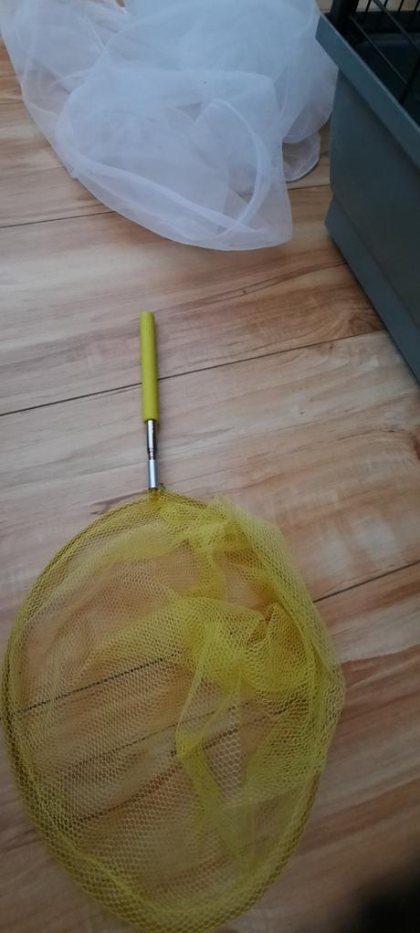 Klietka pre vtaciky, 