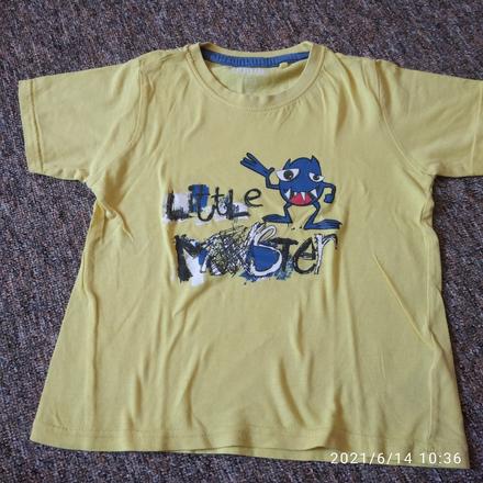 Tricko krátky rukáv, lupilu,110