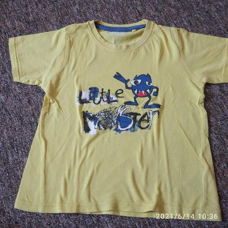 Tricko krátky rukáv, lupilu,110