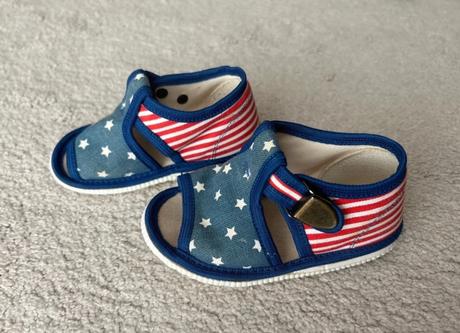 Rak papučky, rak,19