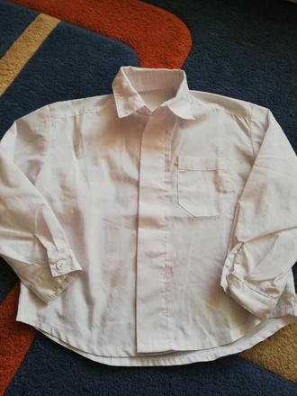 Spoločenska košeľa, 110