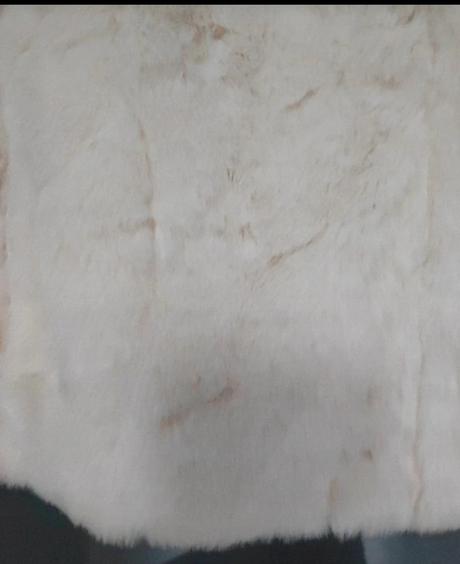 Kozustek, xl